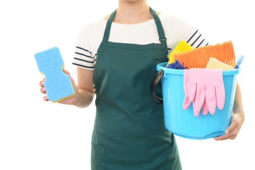 Living room sofa cleaning and upholstery care scene