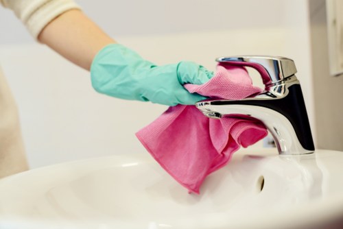 Removing stains and odors from a household rug