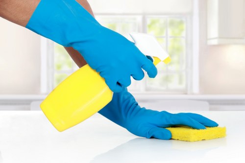 Deep cleaning tools and a freshly cleaned living space