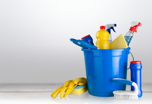 Professional window cleaning improving a bright home exterior