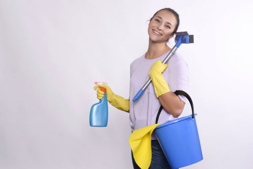 Professional cleaner preparing a vacation rental for guests