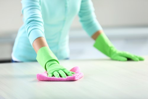 Deep house cleaning in a bathroom and bedroom area
