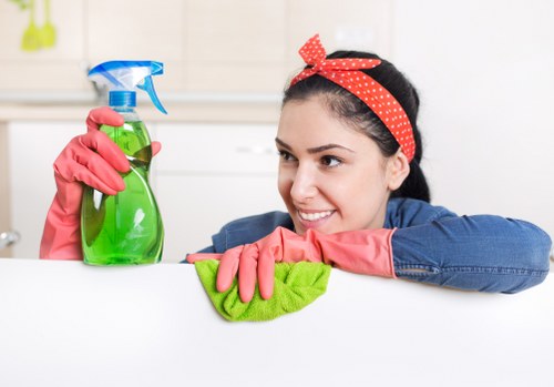 Professional sofa cleaning process for a refreshed couch