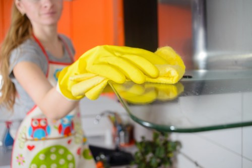 Professional move out cleaning checklist for apartment rooms